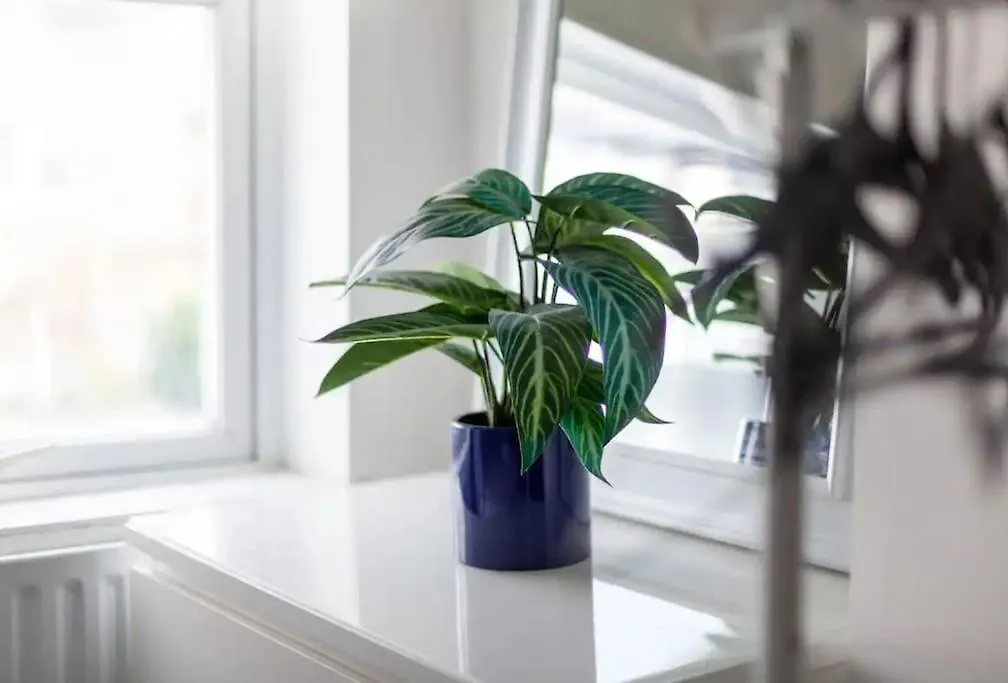 Holiday home London Townhouse Villa United Kingdom